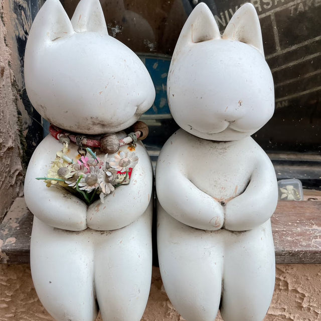 深圳鼓浪嶼（較場尾）一日遊