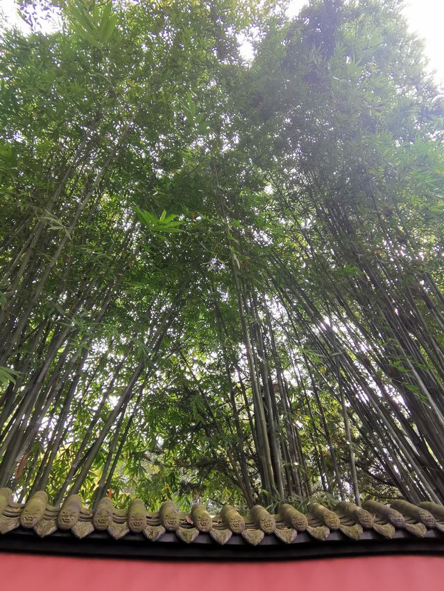 中國唯一的君臣合祀祠廟——武侯祠