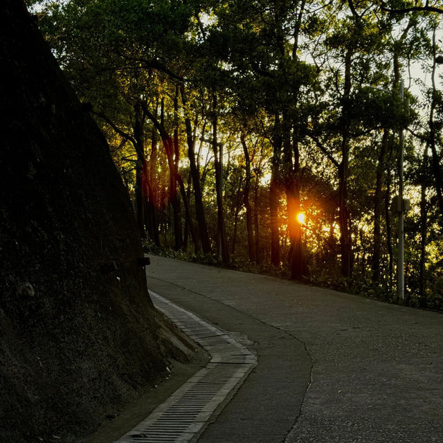 深圳南山公園的夜景太驚艷了！