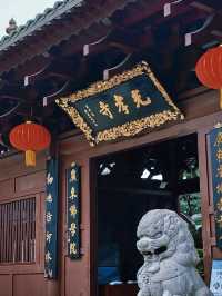 在梵音與榕樹間追尋古韻