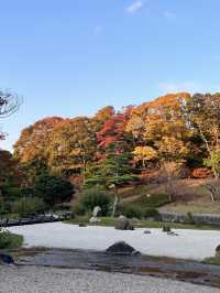 光與夢的交響曲：大阪萬博公園漫遊記