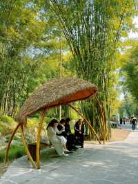 崇州竹藝公園徒步地圖來啦！週末吸氧計劃
