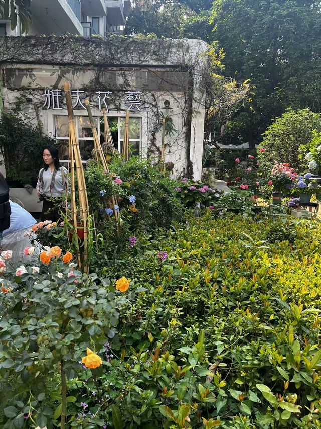 華僑城創意文化園