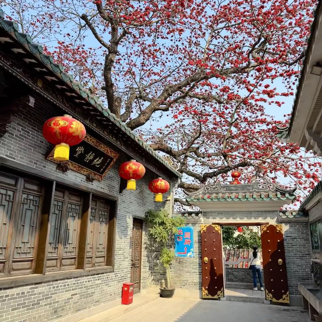 總要去趟中山吧 | 解鎖西山寺與步行街的Citywalk