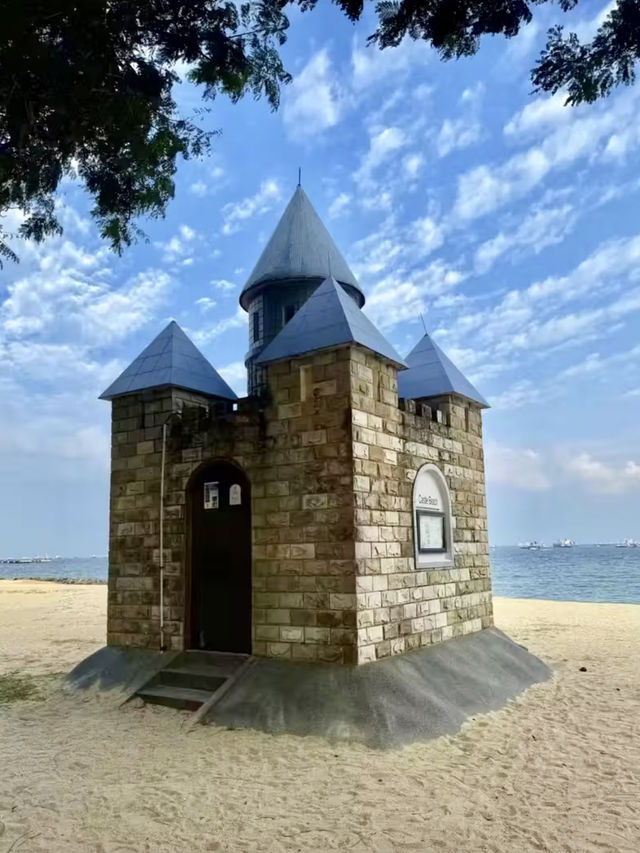 海風與椰影：東海岸公園的悠然時光