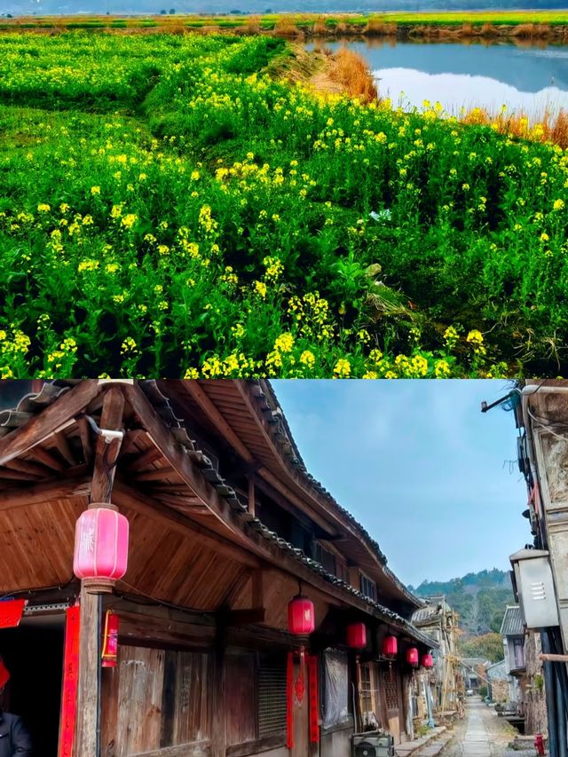 濃濃古韻質樸古城——桃渚古鎮