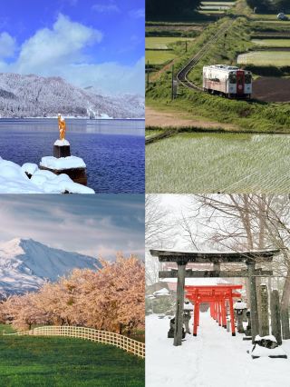 A Date with Akita: Encounter a Different Kind of Beauty