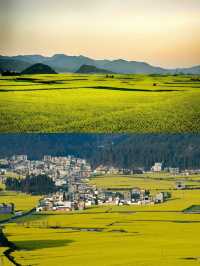 羅平賞油菜花‖打卡避坑攻略