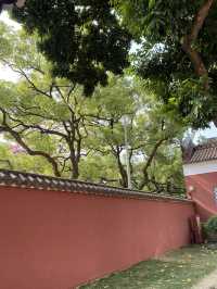 廣州農講所賞木棉花之旅