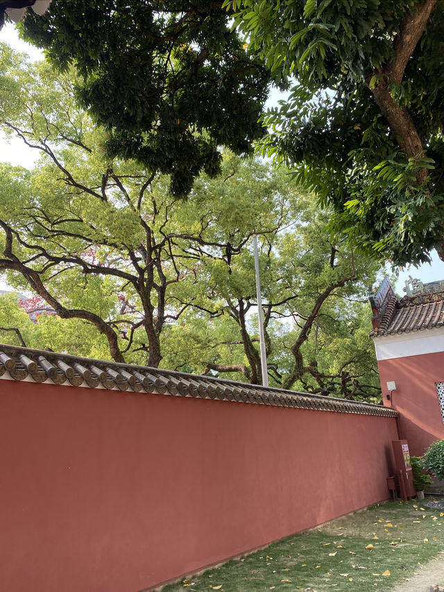 廣州農講所賞木棉花之旅