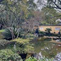 2025好去處｜人好少，春遊重慶渝中區鵝嶺公園，很舒服嘛