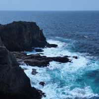 🌊關西秘境 | 白濱一日遊の治癒系碎片