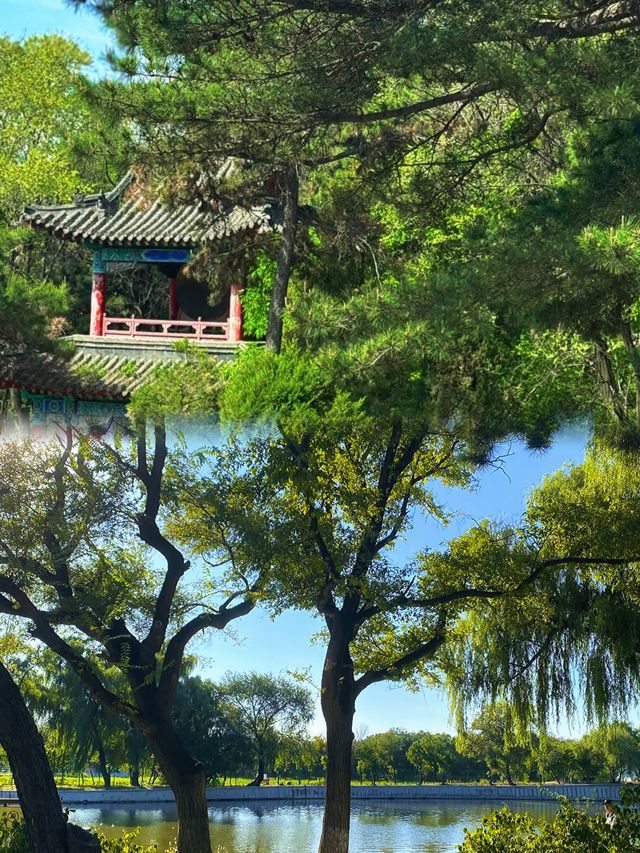 真想不到這裡竟然是