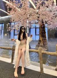 不一樣的長白山度假體驗