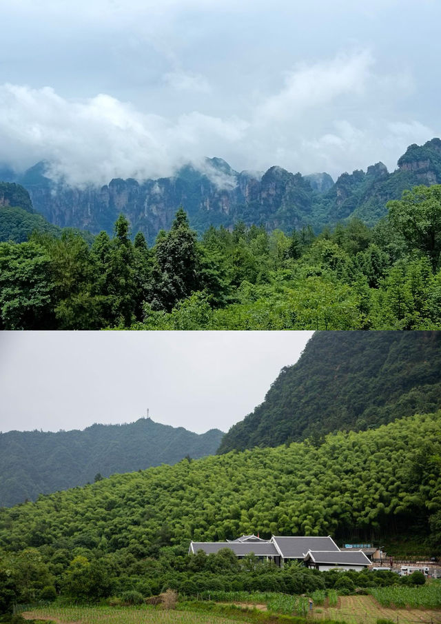張家界頂級私享無敵山景,坐看雲海繚繞 張家界頂級私享無敵山景,坐看雲海繚繞