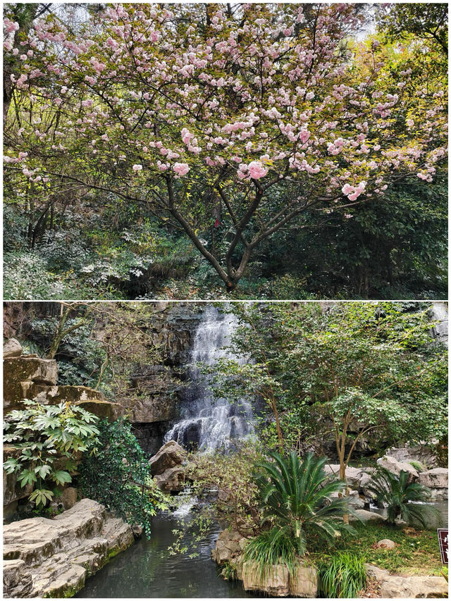 剛帶小朋友從南通回來，真心不建議4月去，因為…