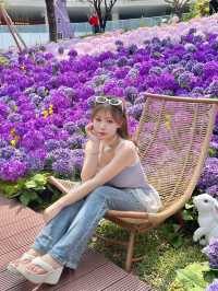 🌷珠海 | 城市客廳驚現夢幻花海鹿境