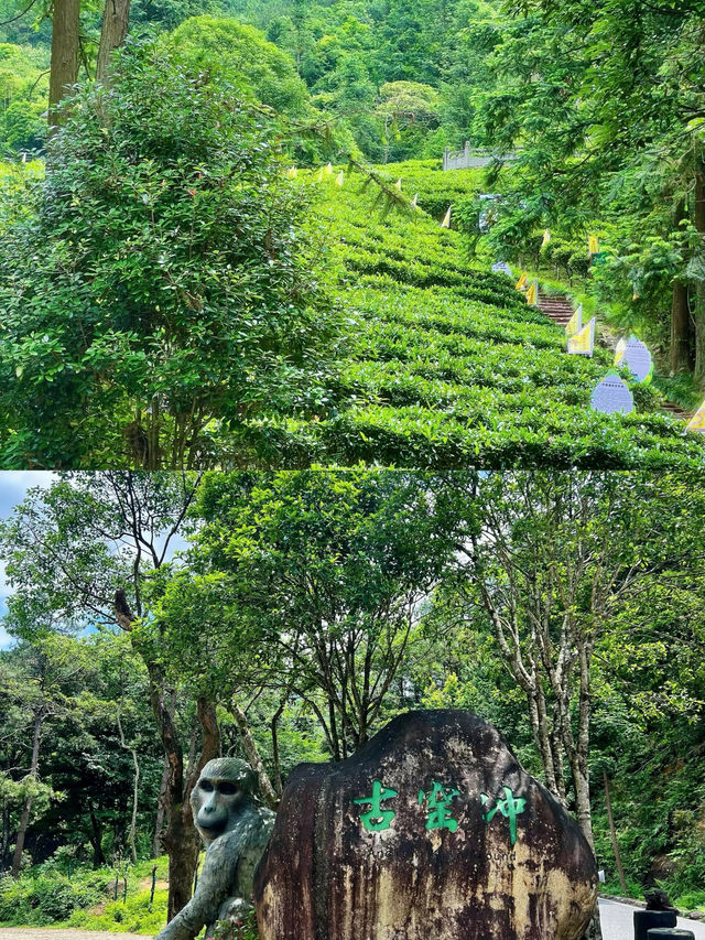 探索賀州姑婆山：邂逅一趟自然與詩意的旅程