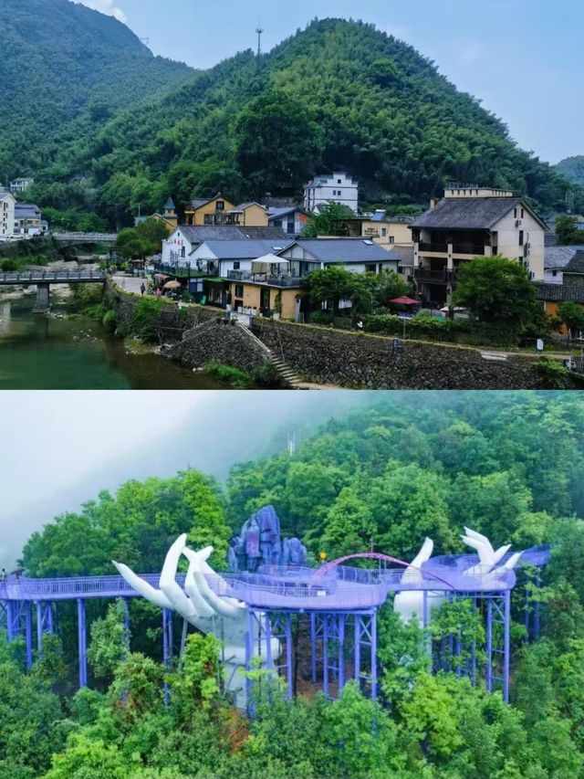 桐廬已回，說點真心話。