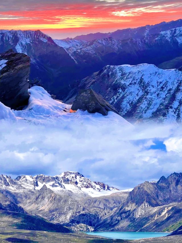 雪山在左，花海在右，我站在雲端揉碎了春天」