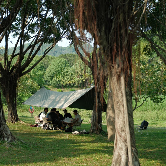 深圳中心公園 | 城市裡的悠然桃源