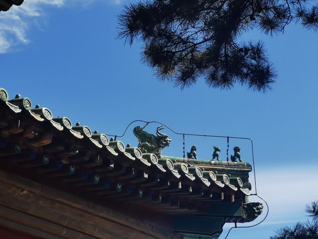 那些去過的地方----天壇公園