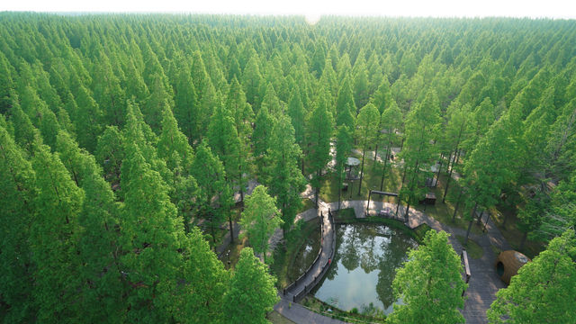 我在鹽城，找到宮崎駿的童話森林