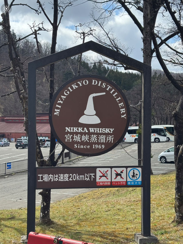 日本仙台旅遊筆記（純乾貨版）