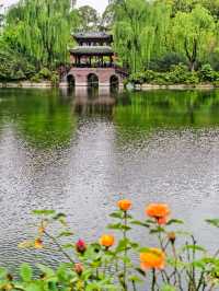 五一好去處|暮春棠湖映雲影,也無風雨也無晴
