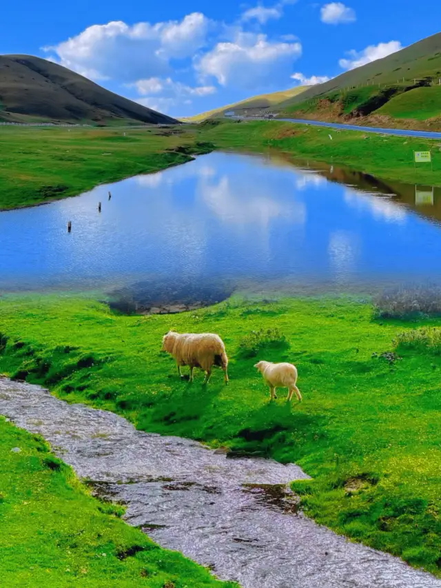 Is Huize Dahai Grassland Worth Visiting? Guide to Yunnan's Hidden Gem