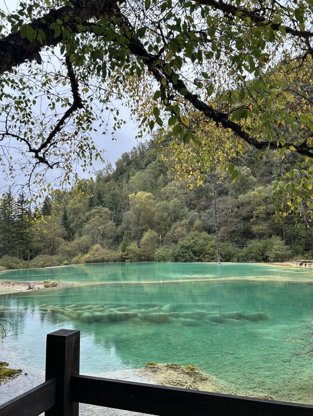 這就是神仙池嗎