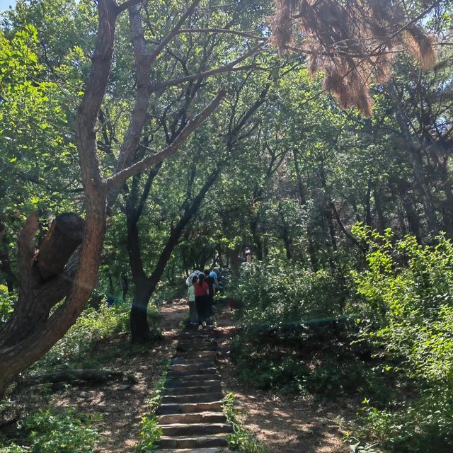 【瀋陽出發自駕遊】探秘馬耳山：