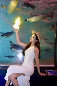 珠海長隆海洋王國親子遊懶人包攻略！附隱藏玩法&慳錢技巧
