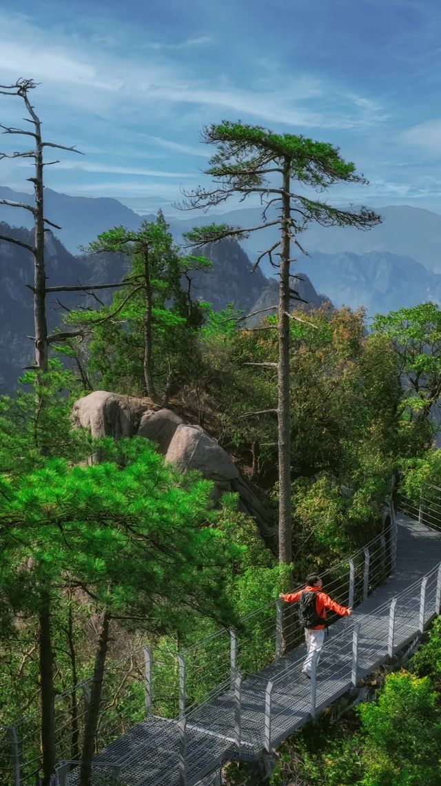 大明山記：雲海與奇峰的千年私語
