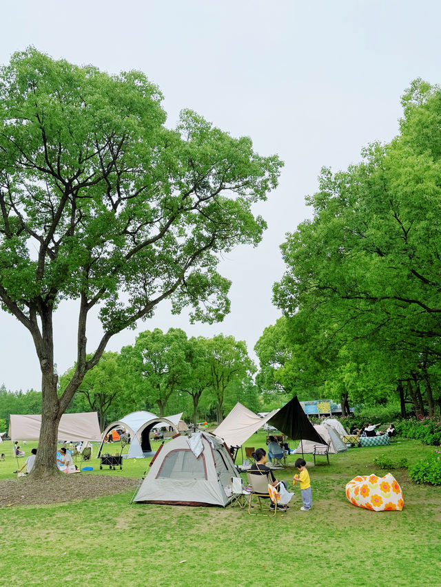 魔都嘅繡球公園已經係next level！