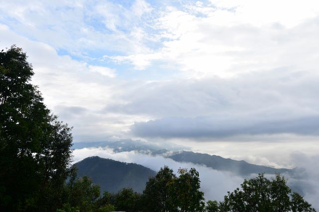 隱居山林不計年，觀雲已是仙