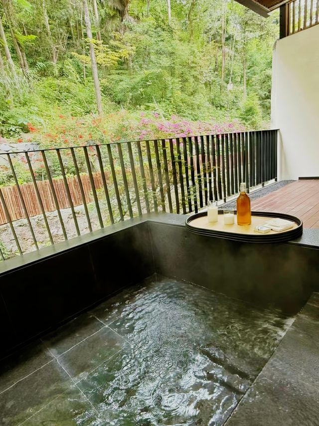 青城後山！隱藏喺密林中嘅小屋！好治癒！