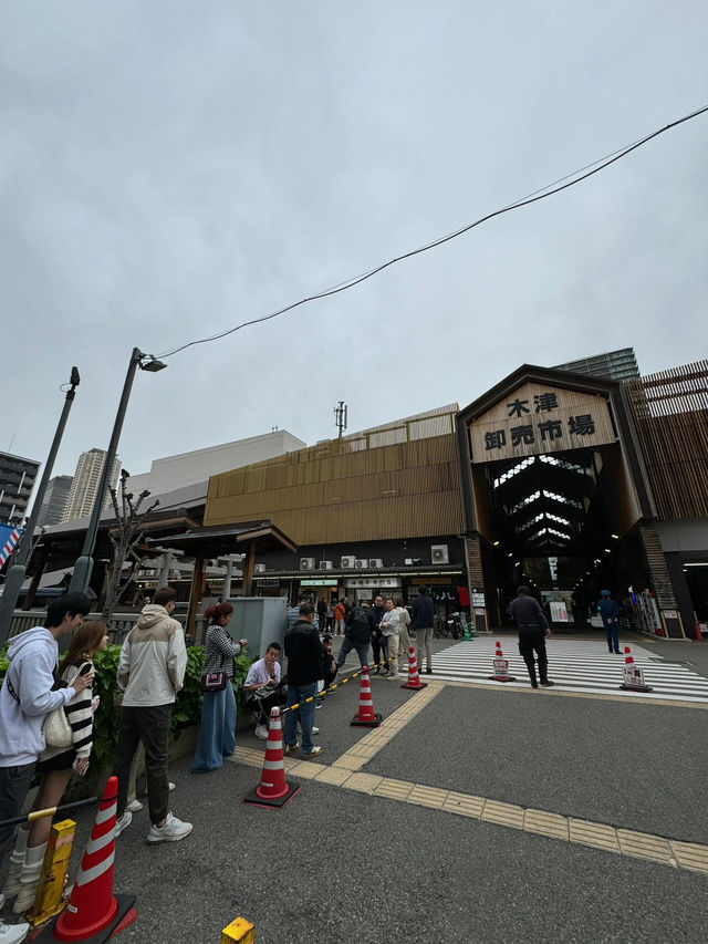 藏不住了！大阪本地人私藏的木津市場，錯過真的會哭😭