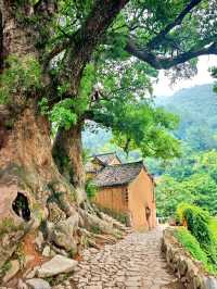 麗水懶人遊