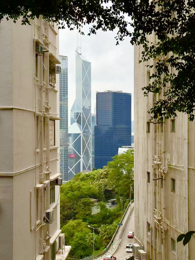 Free City Walk in Hong Kong From Central to Victoria Peak!