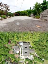 入住寧波和園質野民宿，邂逅詩意時光