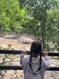 西雙版納之旅返嚟啦，暑假帶小朋友去嘅真係要諗清楚啊！