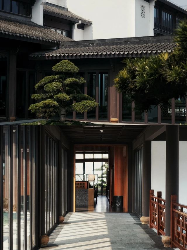 紹興Staycation副作用：以為自己無所不能