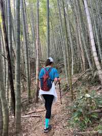 雞枕山：花崗岩森林嘅階梯呼吸術