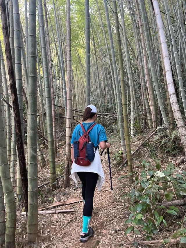 雞枕山：花崗岩森林嘅階梯呼吸術