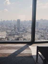 塔影與天空交匯之境：東京泛太平洋骊星酒店的無邊日記