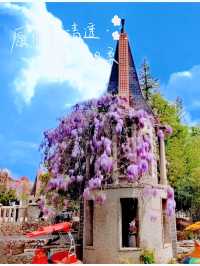 天津受罪之旅已結束，真係唔建議6月份嚟