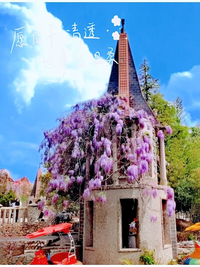 天津受罪之旅已結束，真係唔建議6月份嚟