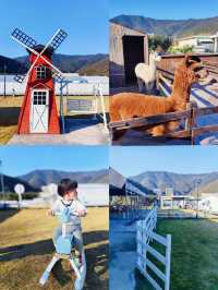 吐血整理｜帶3歲娃住過嘅江浙滬親子酒店staycation