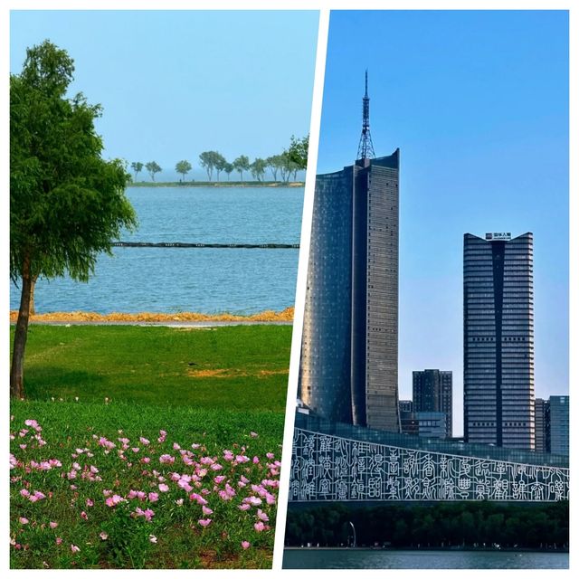 合肥超靚，但真心唔建議6月去，因為......